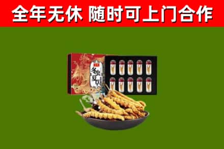 范市烟酒回收冬虫夏草礼盒.jpg